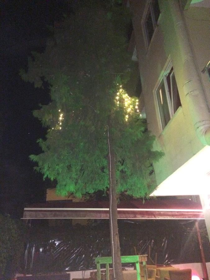 Alanya Demir Hotel المظهر الخارجي الصورة